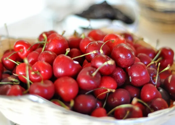 Ξενοδοχείο Grand Palladium Santa Eulària des Riu