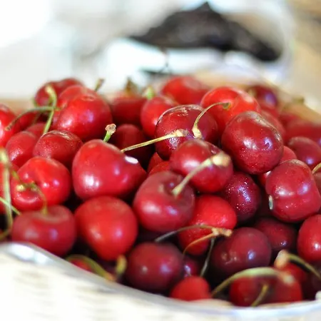 Hotel Grand Palladium Santa Eularia des Riu