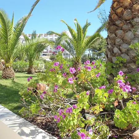 Grand Palladium 산타 에우랄리아 데 리오