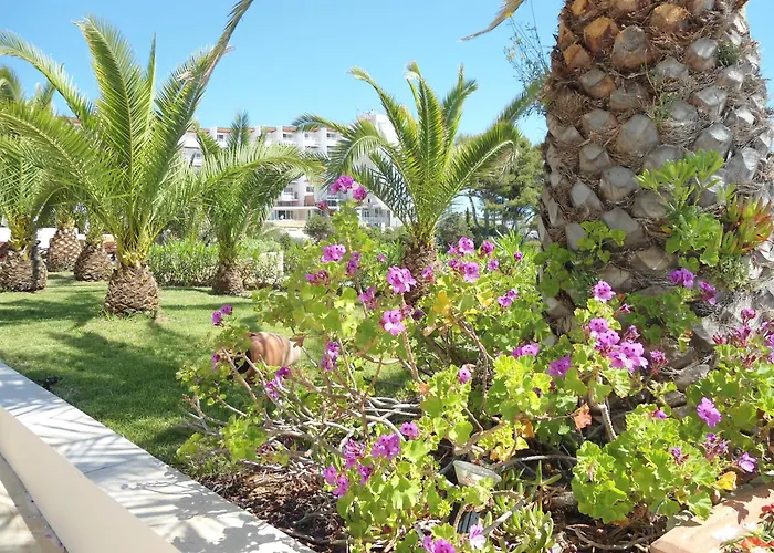 Grand Palladium סנטה אאולריה דס ריו